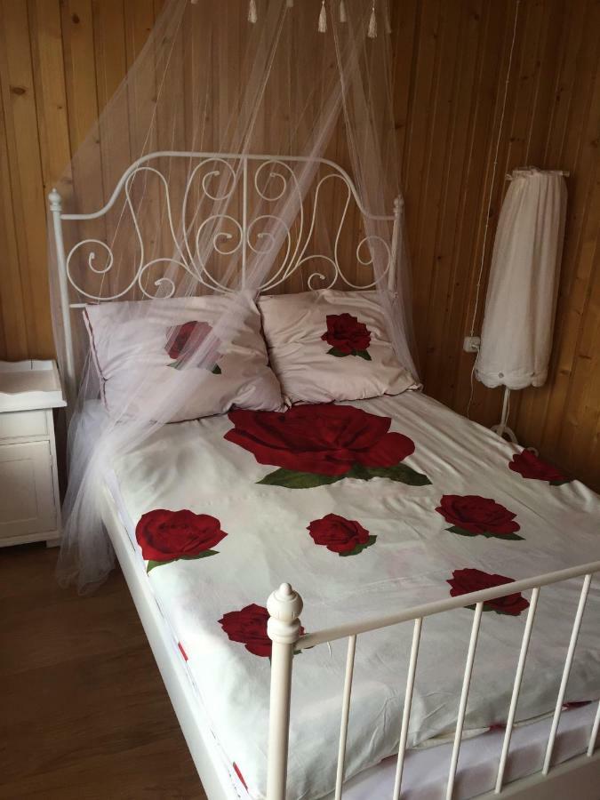 Pokoje U Eli Appartamento Brzegi  Esterno foto